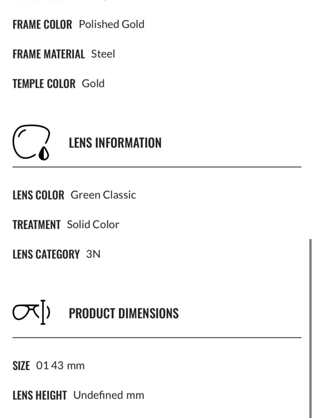 Ray-Ban excellent worn